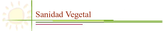 Sanidad Vegetal