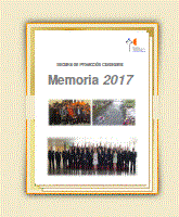 pdf - memoria 2017