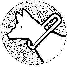 Perro - gua (dibujo)