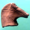 Cabeza de équido